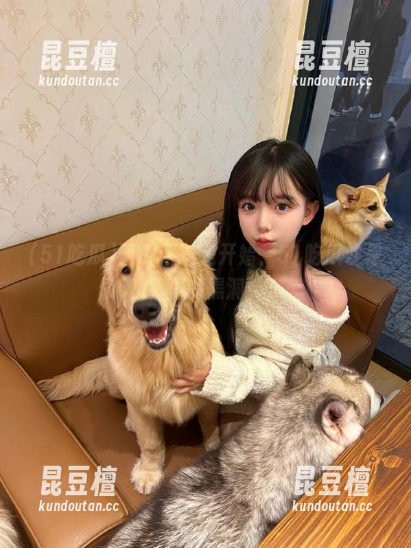 51吃瓜 下载不过是开始,51吃瓜才是真正的黑洞!