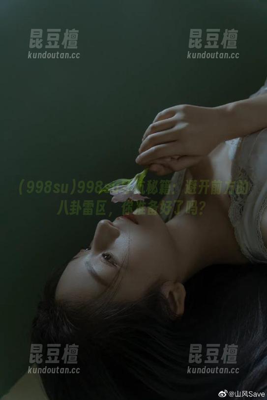 998su导航秘籍：避开前方的八卦雷区，你准备好了吗？
