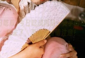 今日吃瓜网站：烫手的热瓜就快来了，更新速递请注意！