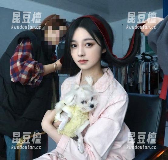 免费吃瓜 更新不停,安卓端的免费吃瓜让我每天都想多吃几口