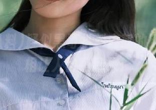 疑似黑哥扒料内部的链接，真相让人目瞪口呆！
