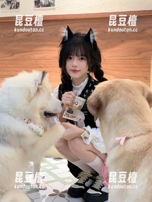 安卓系统下的黑料专区？心里没点数吗！